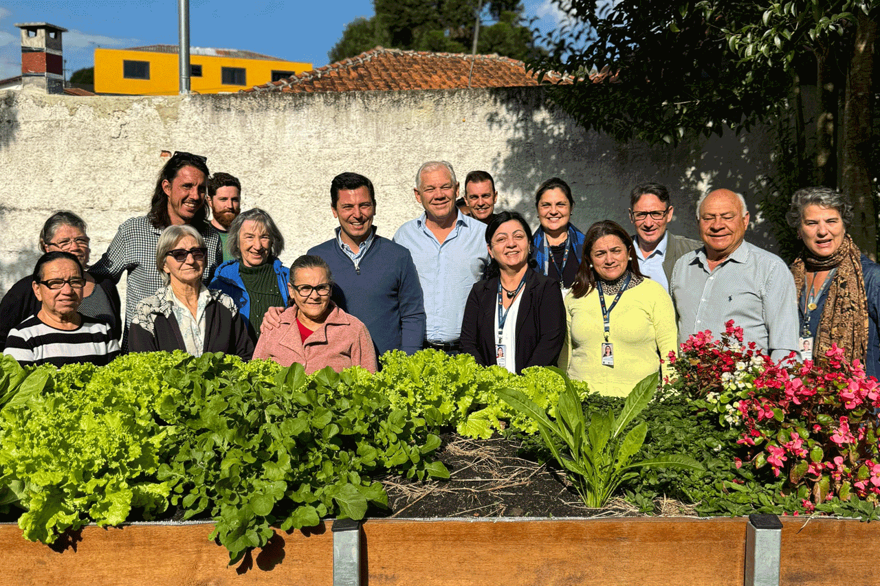 Hortas comunitárias em Curitiba: sustentabilidade e inclusão